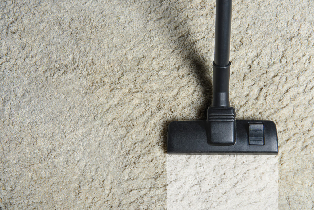 Carpet cleaning services in Northampton